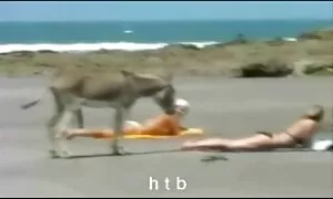 زن و شوهرها از عکس سکسی متحرک خفن مهمانی مهمانی در تخت بزرگ فرار می کنند