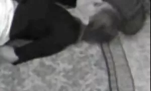 زنان چاق شیک پوش دانلود عکس های سکسی خفن با جوراب ساق بلند خوش قاپی می کنند